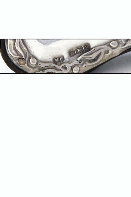 fig 3. Edwardian Silver Mounted Photo Frame 1906
