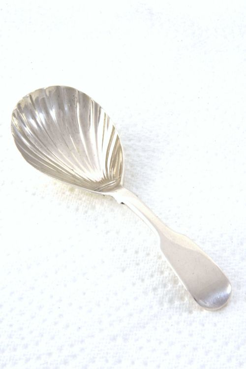 fig 1. An early Victorian sterling silver caddy spoon featuring a fluted shell-shaped bowl and a plain handle.