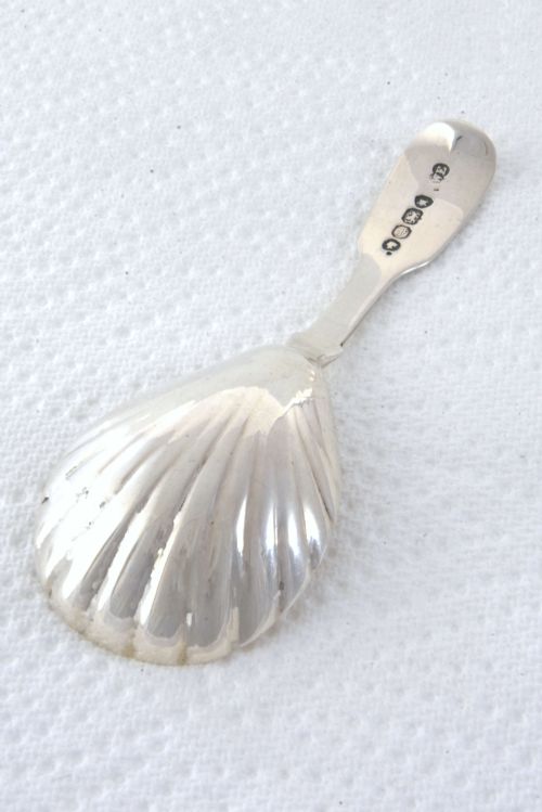 fig 2. An early Victorian sterling silver caddy spoon featuring a fluted shell-shaped bowl and a plain handle.