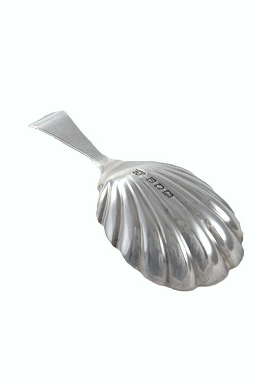 fig 1. A Victorian sterling silver caddy spoon featuring a fluted shell-shaped bowl and a short decorated handle.