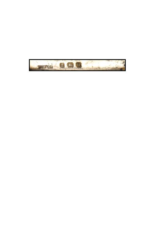 fig 3. A small rectangular George V sterling silver vesta case decorated with hand-engraved foliage motifs, official hallmarks, and a side suspension ring.