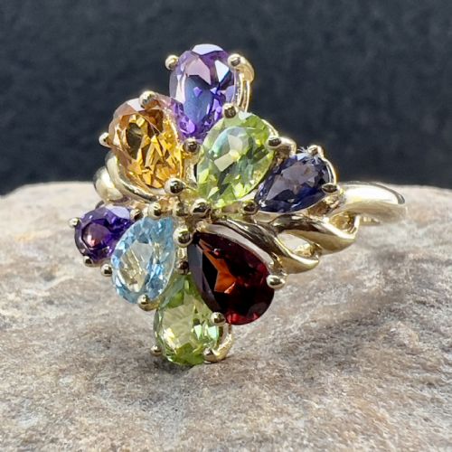 fig 1. 9ct Gold Multi-Gem Dress Ring