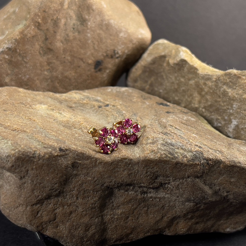 9ct Gold Diamond & Ruby Cluster Stud Earrings
 View IV