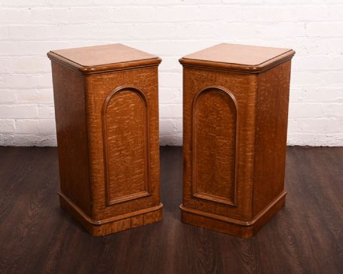 Rare Pair of Victorian Hungarian Ash Bedside Cabinets