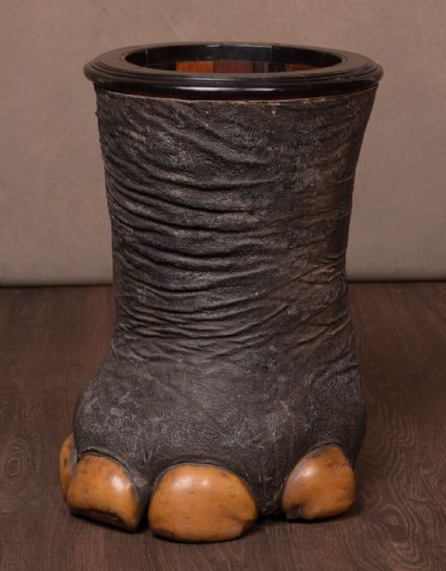 Victorian Taxidermy Elephants Foot Walking Stick Stand