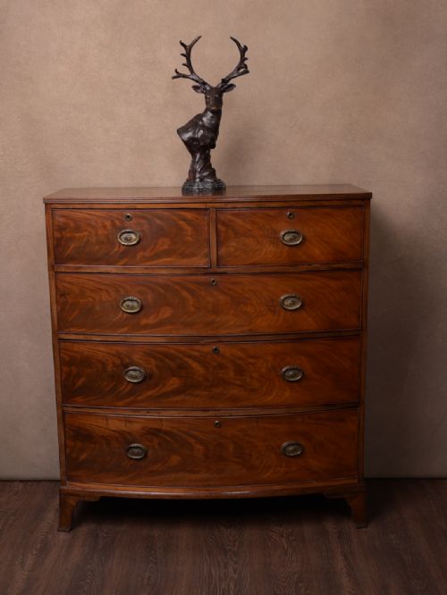 Georgian Mahogany Bow Front Chest of Drawers