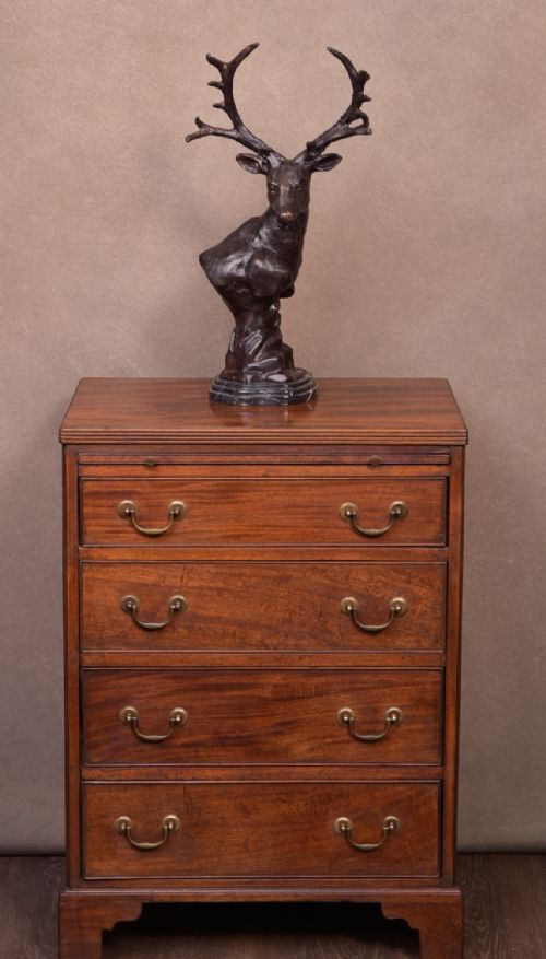 19th Century Mahogany Bachelor Chest of Drawers