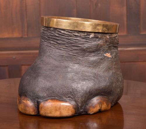 Victorian Taxidermy Elephants Foot Waste Paper Bin