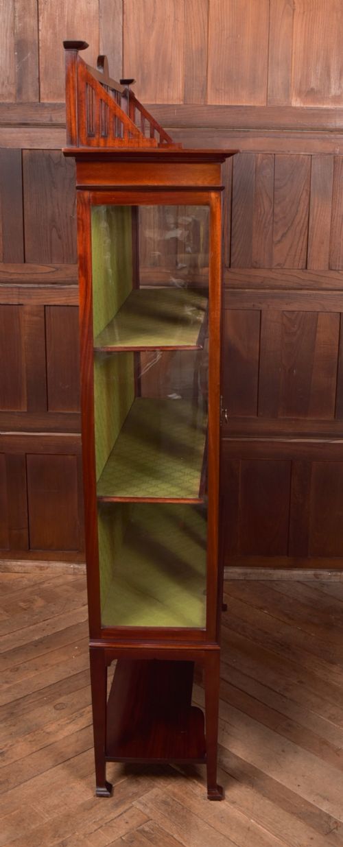 ART NOUVEAU MAHOGANY DISPLAY CABINET - ADDITIONAL PHOTO 5