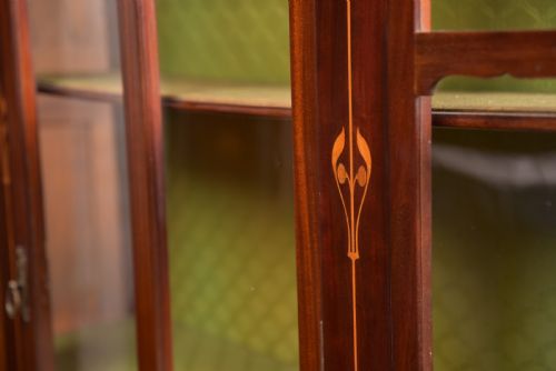 ART NOUVEAU MAHOGANY DISPLAY CABINET - ADDITIONAL PHOTO 13