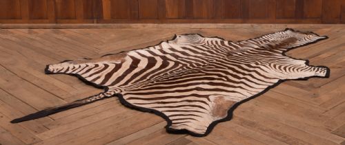 Zebra Rug