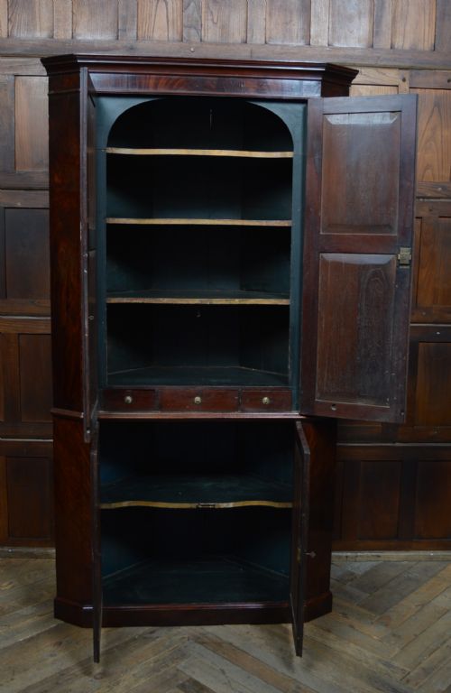 GEORGIAN MAHOGANY COUNTRY HOUSE CORNER CABINET - ADDITIONAL PHOTO 2