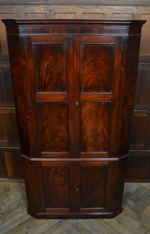 GEORGIAN MAHOGANY COUNTRY HOUSE CORNER CABINET - ADDITIONAL PHOTO 8