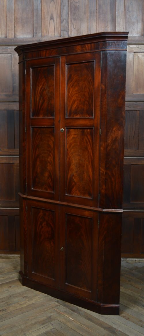 GEORGIAN MAHOGANY COUNTRY HOUSE CORNER CABINET - ADDITIONAL PHOTO 12