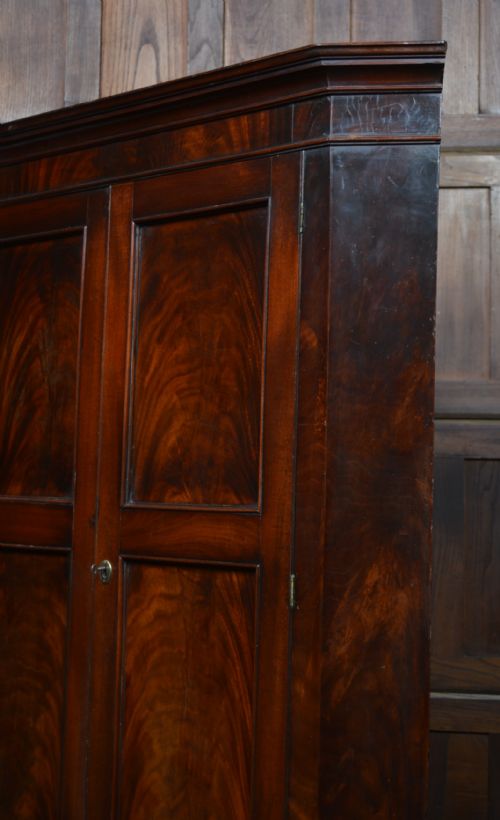GEORGIAN MAHOGANY COUNTRY HOUSE CORNER CABINET - ADDITIONAL PHOTO 14