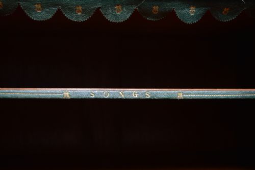 VICTORIAN WALNUT MUSIC CABINET - ADDITIONAL PHOTO 8