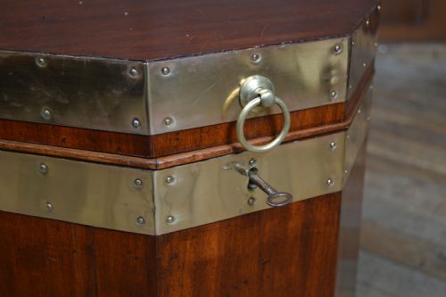 EDWARDIAN MAHOGANY OCTAGON CELLARETTE - ADDITIONAL PHOTO 3
