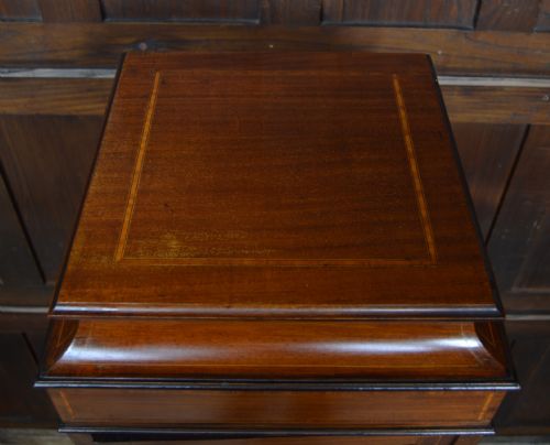 EDWARDIAN MAHOGANY VITRINE DISPLAY CABINET - ADDITIONAL PHOTO 5