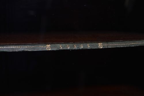 VICTORIAN WALNUT MUSIC CABINET - ADDITIONAL PHOTO 6