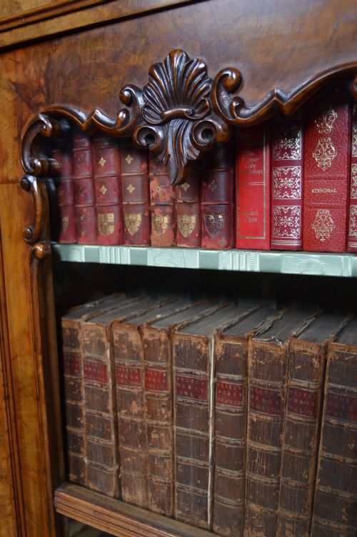 FRENCH WALNUT BOOKCASE DISPLAY CABINET - ADDITIONAL PHOTO 13