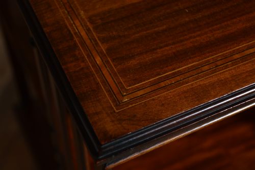 EDWARDIAN MAHOGANY REVOLVING BOOKCASE - ADDITIONAL PHOTO 4