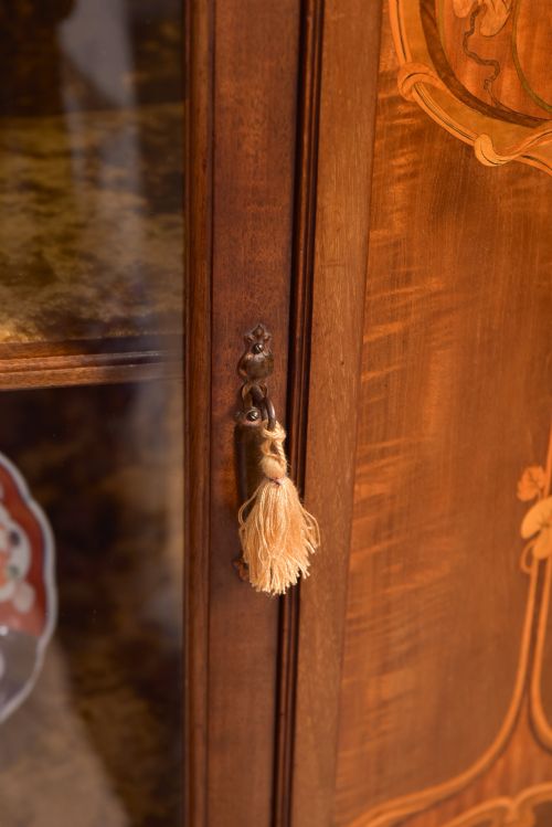 ART NOUVEAU MAHOGANY DISPLAY CABINET - ADDITIONAL PHOTO 5