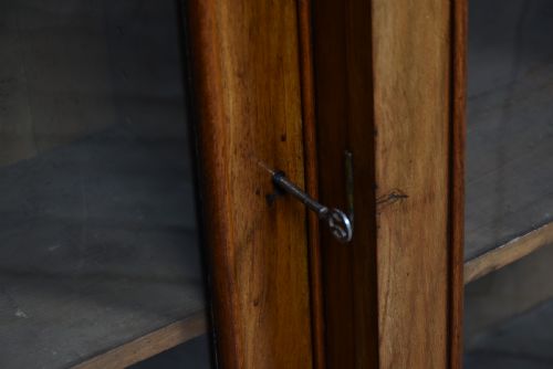 VICTORIAN WALNUT BOOKCASE - ADDITIONAL PHOTO 4