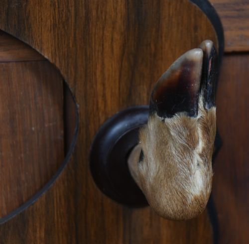 TAXIDERMY WHITETAIL DEER HEAD - ADDITIONAL PHOTO 6