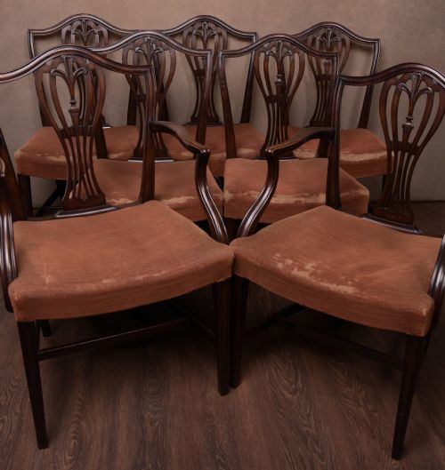 CARVED HEPPLEWHITESTYLE DINING CHAIRS SET OF EIGHT - ADDITIONAL PHOTO 12