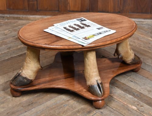 Taxidermy Oval Coffee Table