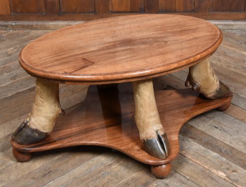 fig 1. An oval polished wooden coffee table supported by four taxidermy hooves standing on a shaped wooden base with ball feet.