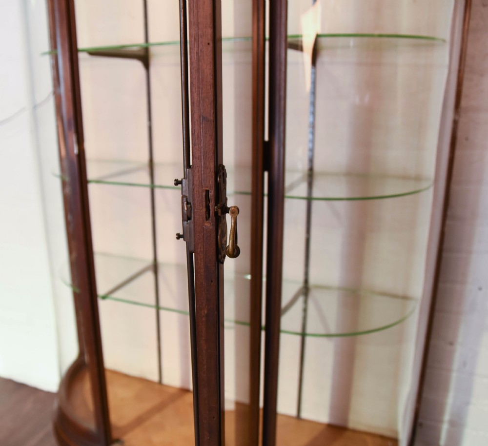 Edwardian shop display cabinet  View VIII