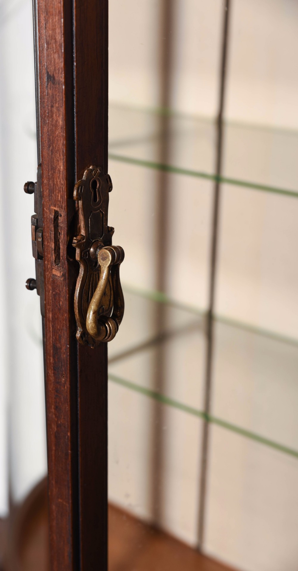 Edwardian shop display cabinet  View IX
