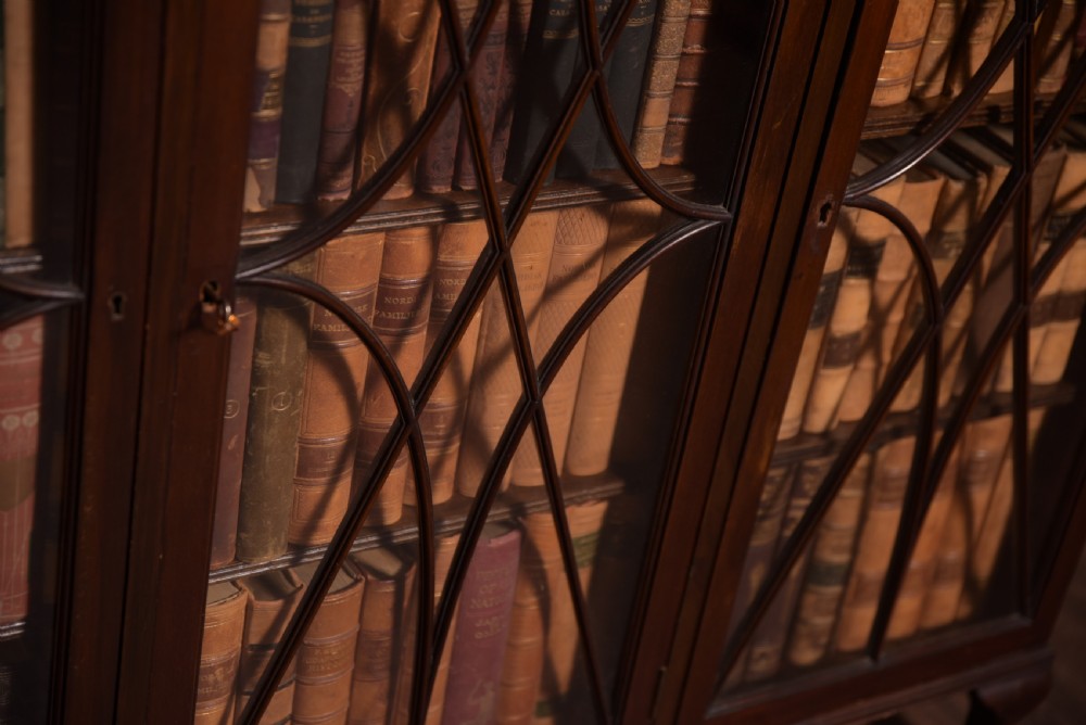 Excellent Quality 3 door Edwardian Bookcase  View IV