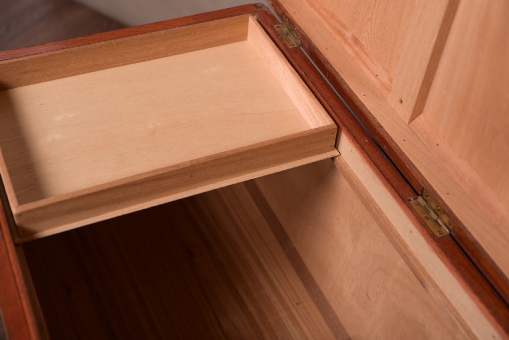 Stunning Chinese Camphor wood storage box View VIII