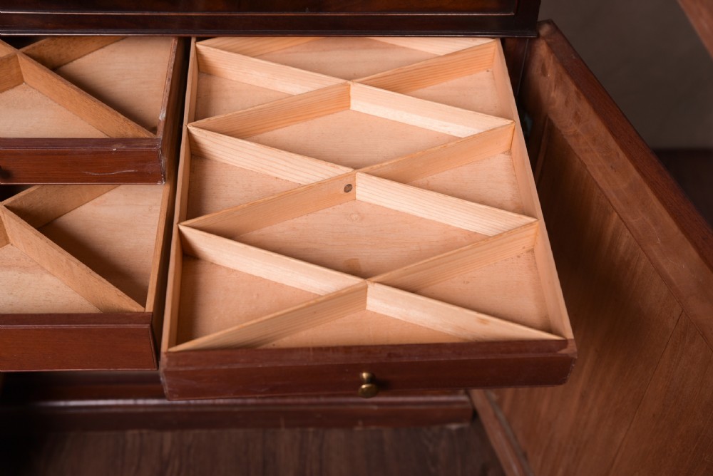 Rare Georgian mahogany  Collectors cabinet bookcase  View IX