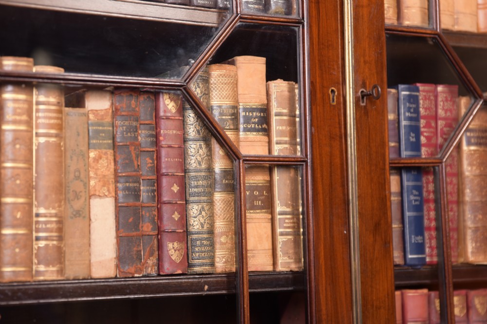 19th Century mahogany bookcase View V