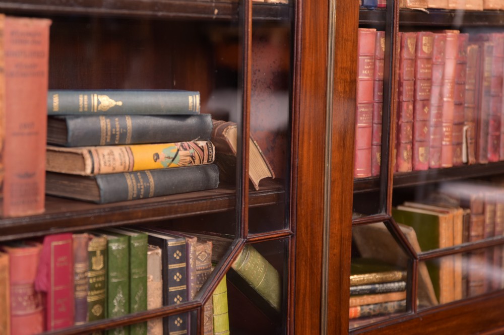 19th Century mahogany bookcase View XVII