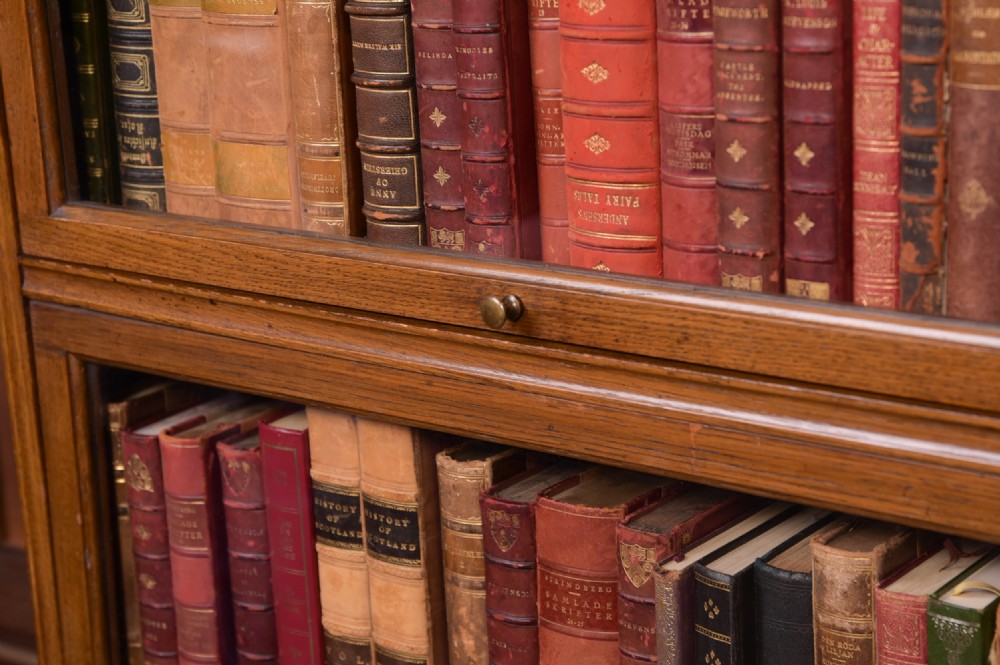 Oak Lawyers Bookcase  View XIV