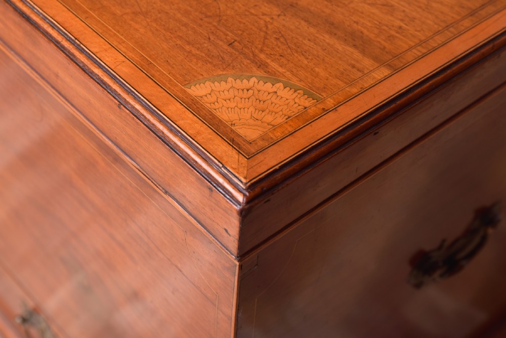 Fantastic Georgian inlaid Mahogany Mule storage chest  View VI