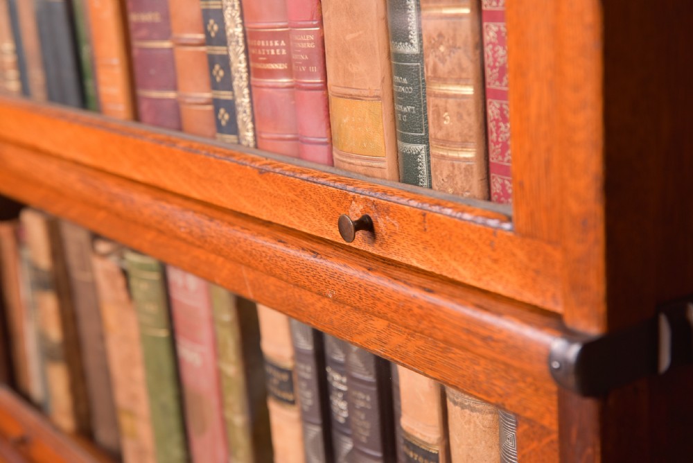 Oak Sectional Globe Wernicke Bookcase  View XII