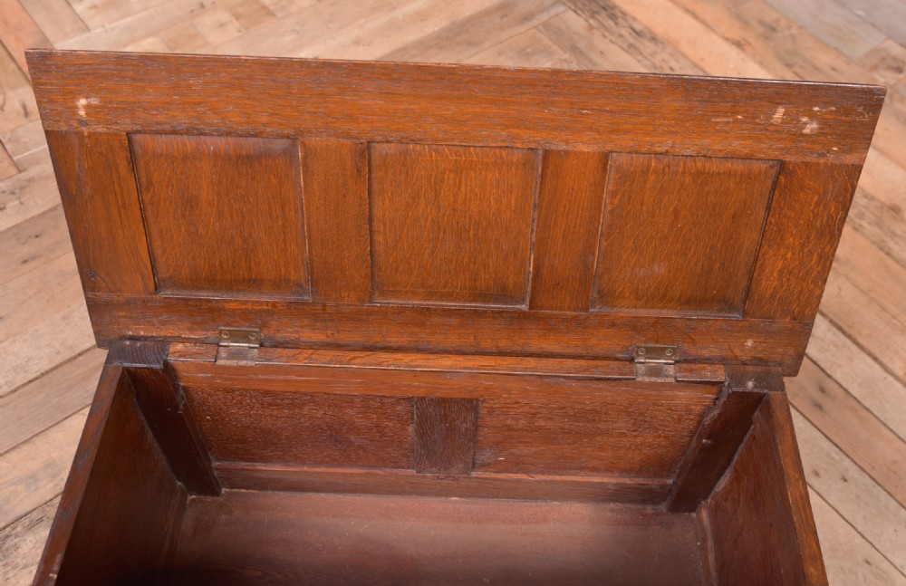 Miniature Panelled oak Coffer  40cm High View VI