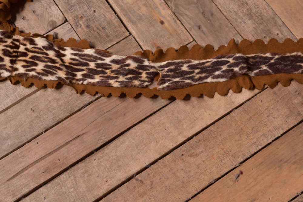 19th Century Taxidermy Leopard  View XI