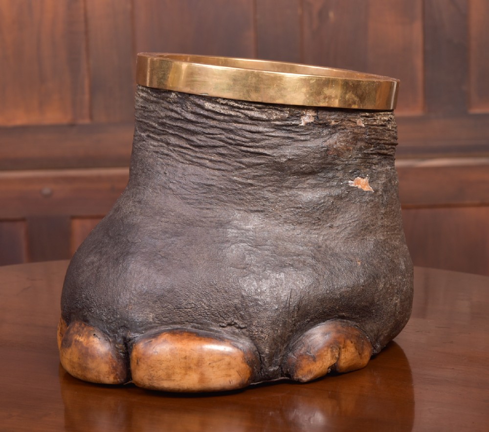 Victorian Taxidermy Elephants foot waste paper bin 
