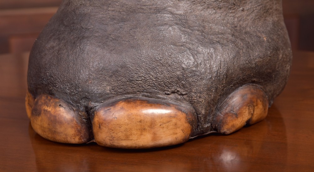 Victorian Taxidermy Elephants foot waste paper bin  View II