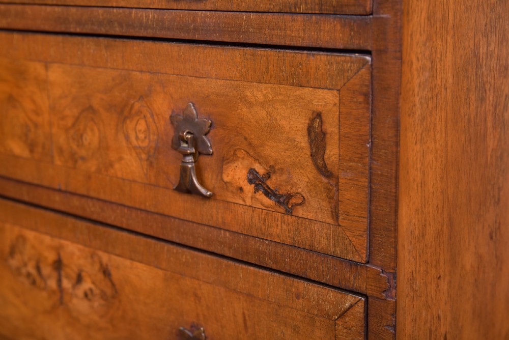 Edwardian Burr Walnut Chest on Stand  View XV