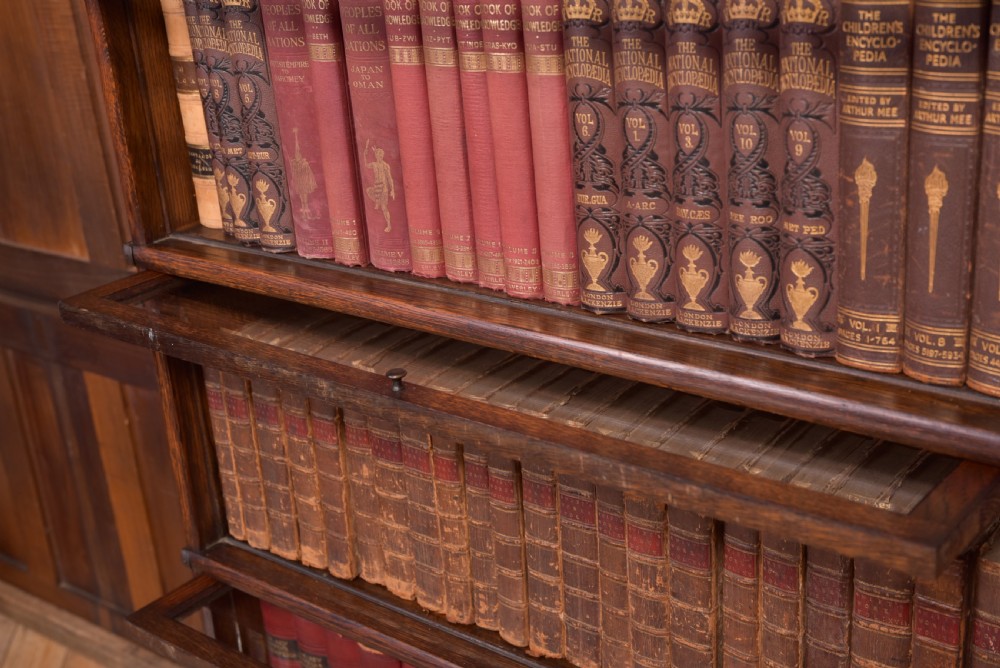 Edwardian Oak Globe Wernicke 3 sectional bookcase View IX
