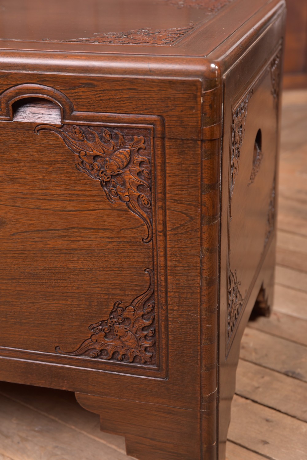 19th Century Chinese Camphor wood storage box View VII