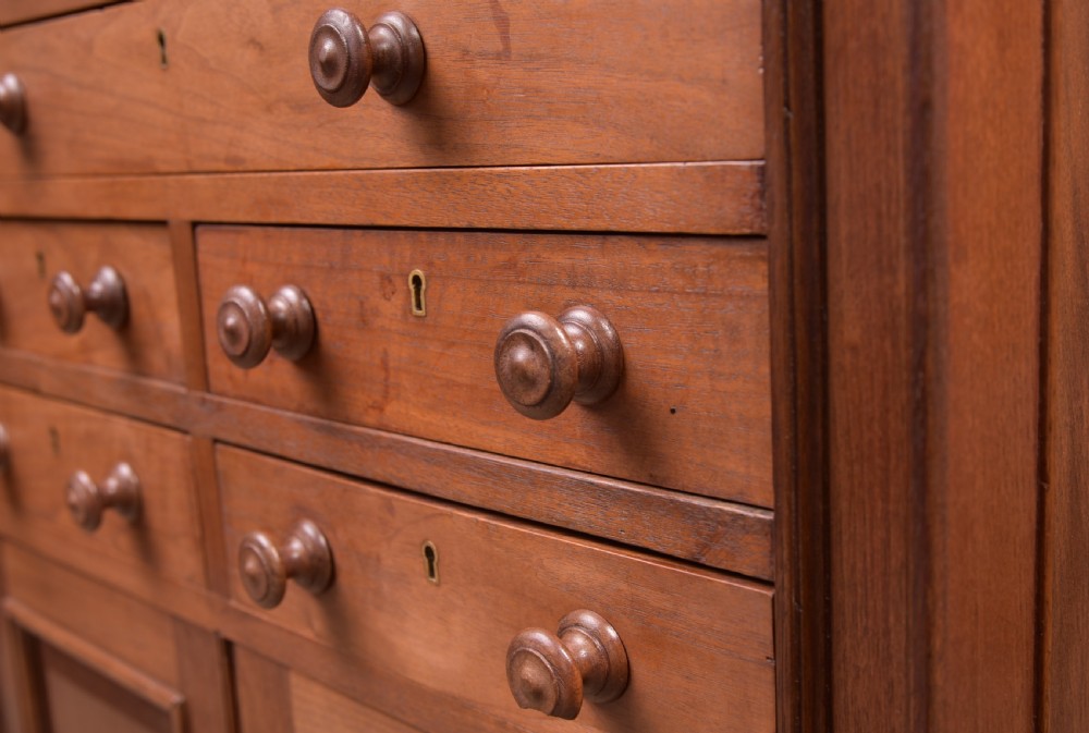 Edwardian Red Walnut Dental Cabinet View VI
