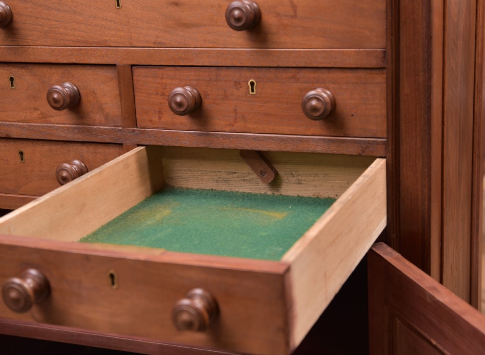 Edwardian Red Walnut Dental Cabinet View XI